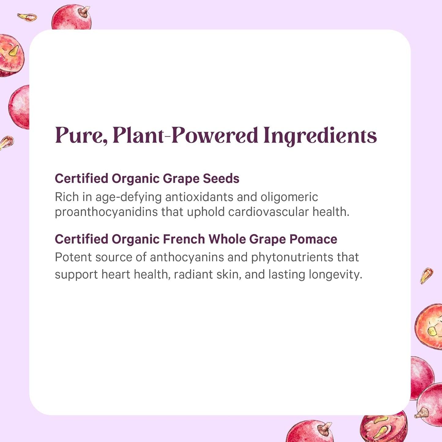 Pure Synergy SuperPure Grape Seed Extract | Organic Grape Seed Polyphenols Supplement with Whole Fruit | for Heart Health, Skin, and Healthy Aging Support (60 Capsules)