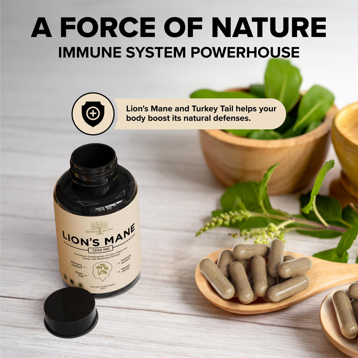 Garden of Herbz Lions Mane Supplement with Turkey Tail – Nootropic Brain Fog, Focus