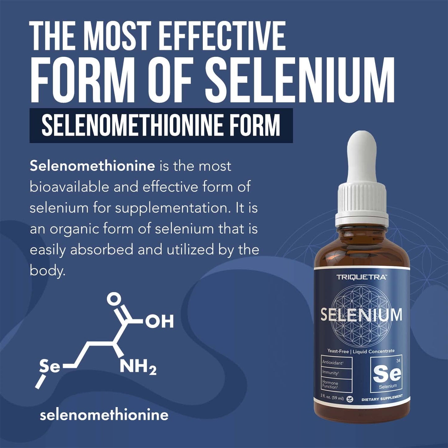 Total Selenium - 200 mcg, Plant-Based - Full Spectrum, Contains 4 Essential Organic Forms of Selenium Including Selenomethionine - Derived from Garlic - 60 Capsules