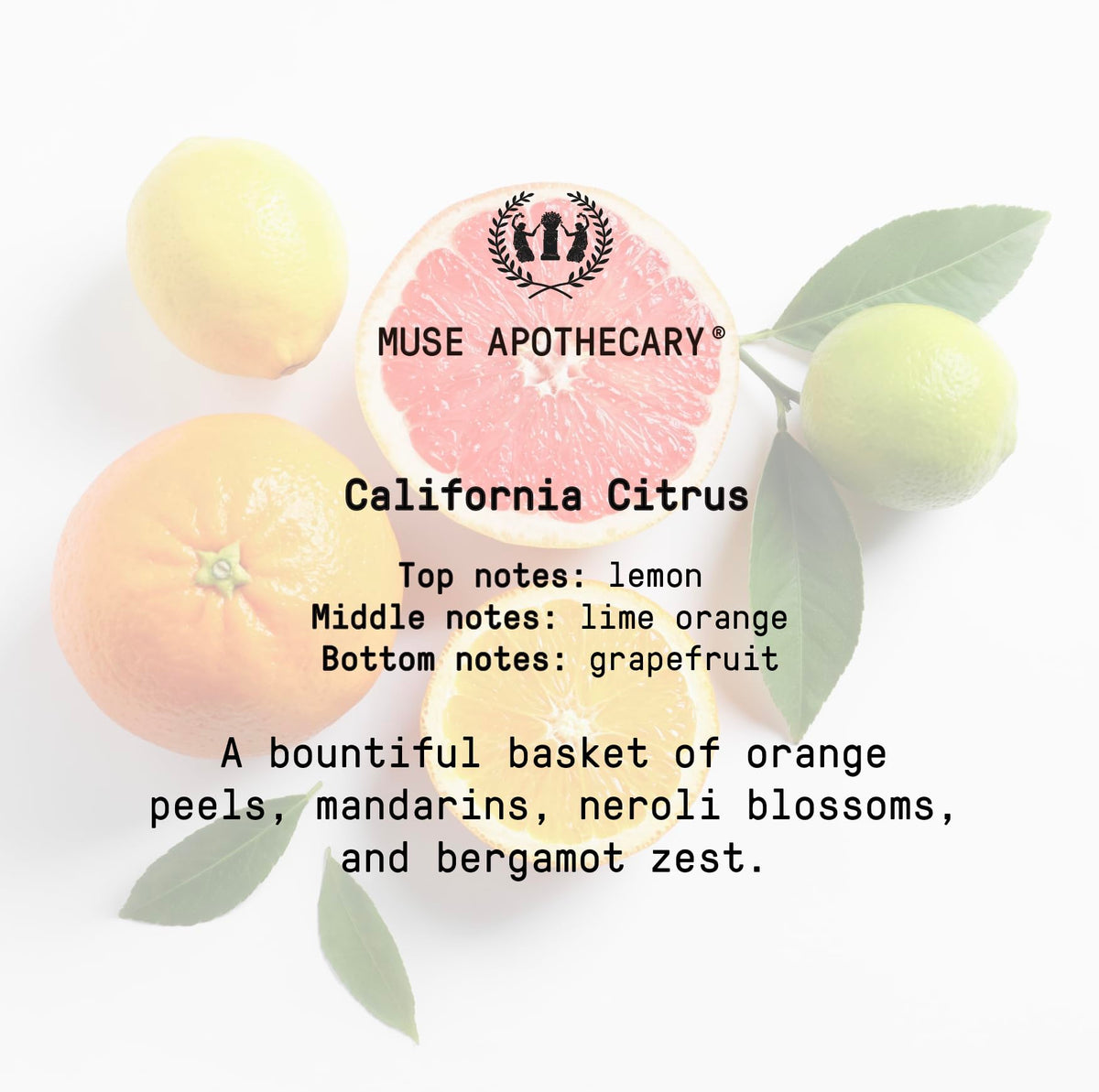 Muse Bath Apothecary Room Ritual - Aromatic and Relaxing Room Mist, 8 oz, Infused