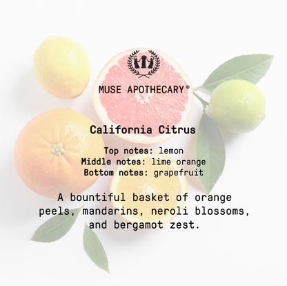 Muse Bath Apothecary Room Ritual - Aromatic and Relaxing Room Mist, 8 oz, Infused