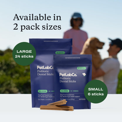 PetLab Co. Dental Sticks – Dog Dental Chews -Target Plaque & Tartar Build-Up at The Source - Designed to Maintain Your Dog’s Oral Health, Keep Breath Fresh and Provide Digestive Help (24 Sticks) | Ridged texture with chicory root prebiotic and peppermint