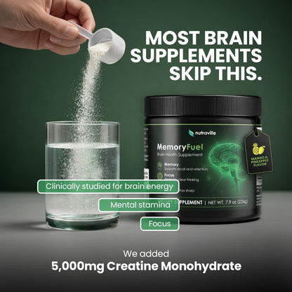 Memory Fuel Creatine Monohydrate Powder for Brain Energy & Focus | 5,000mg Micronized Creatine with L-Theanine, Choline & Magnesium, Cognitive Support for Adults, No Crash, 1 Scoop Daily
