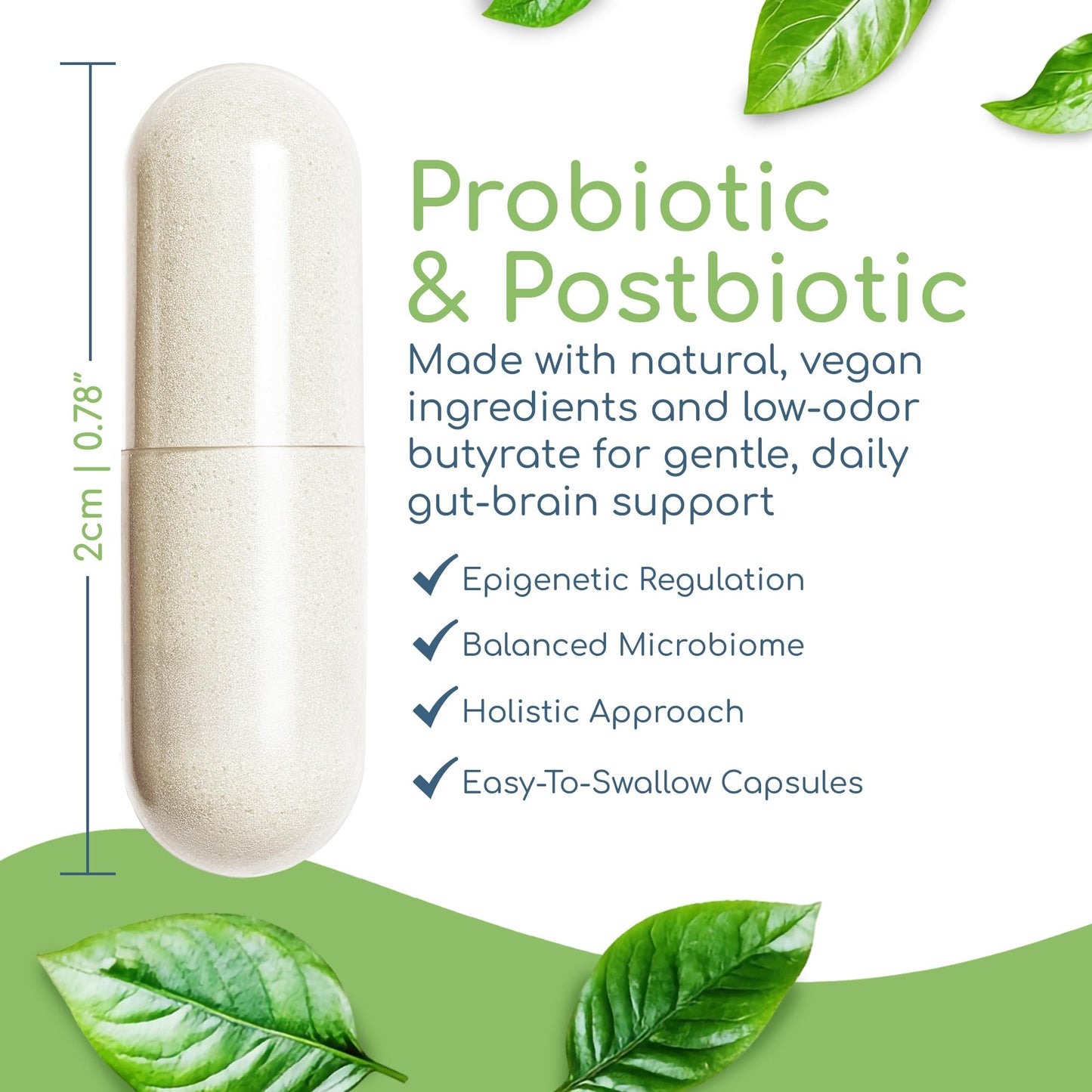 Double Butyrate Gut Health Supplement | Probiotic & Postbiotic Digestive Supplements for Gut Support | Enhances Immune, Brain, & Nervous System Function | Odor-Free Formula | 120 caps