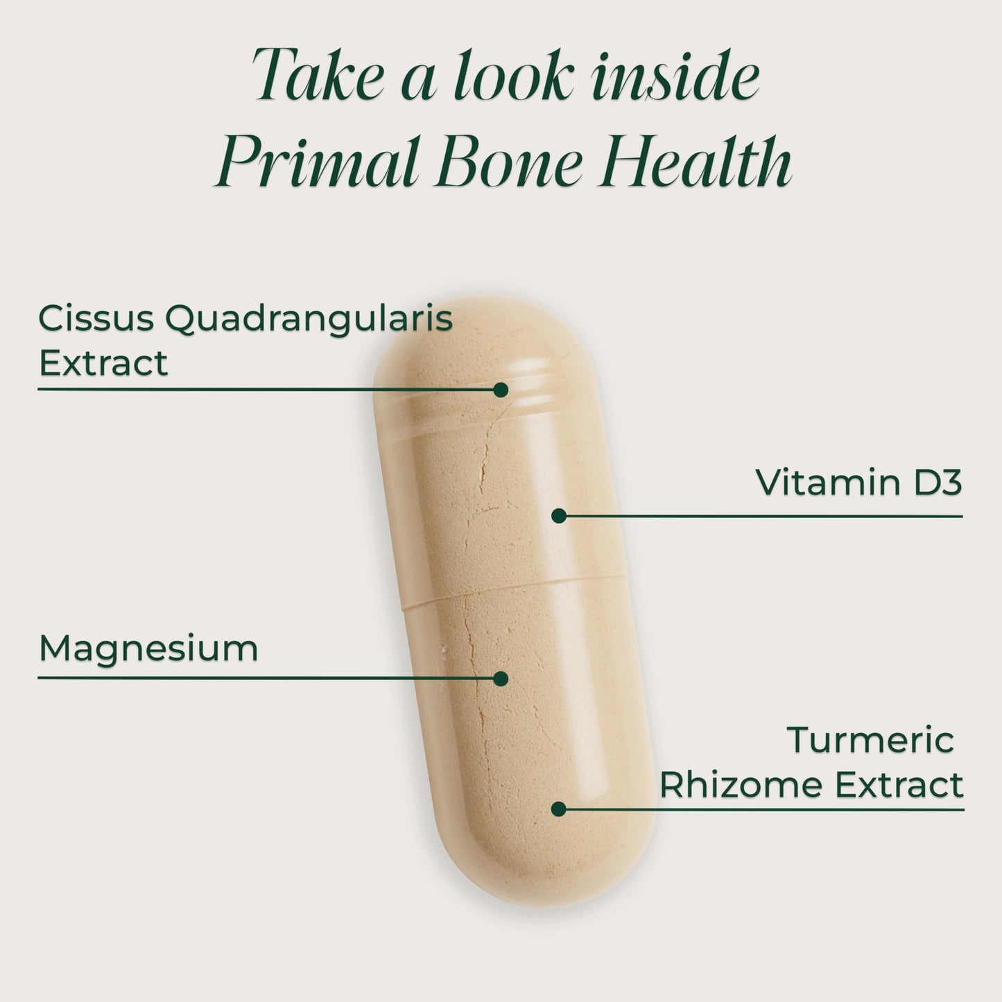 Primal Harvest Primal Bone Health Calcium Carbonate Bone Health Complex for Men & Women with Calcium, Magnesium, Zinc, Manganese, Potassium, & L-Carnitine (1 Pack)