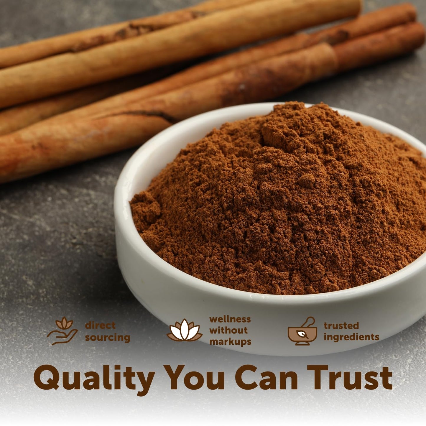 Micro Ingredients Organic Ceylon Cinnamon Powder, 8 oz | Sri Lanka Source | True Cinnamon for Spice & Seasoning | Great for Baking, Cooking, & Drinks | Additive Free, Non-GMO