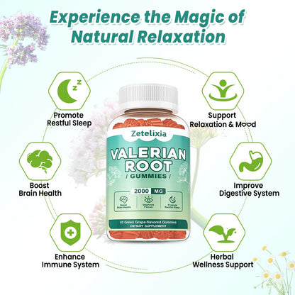 2 Pack Organic Valerian Root Gummies for Sleep, Melatonin Free, 120 Count | Natural herbal supplement for relaxation, calm and restful sleep. Vegan, non-GMO, gluten free, green grape flavor.