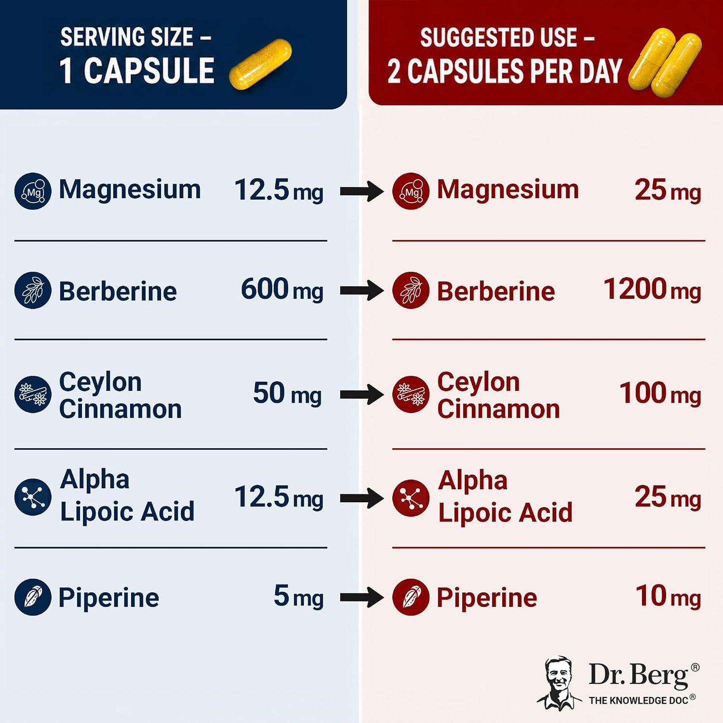 Dr. Berg Berberine 5-in-1 Formula, 60 Capsules – 1200 mg Daily Berberine with Ceylon Cinnamon, ALA, Magnesium Glycinate & BioPerine – Maximum Strength Metabolic & Healthy Blood Sugar Support
