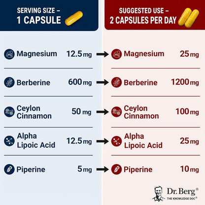 Dr. Berg Berberine 5-in-1 Formula, 60 Capsules – 1200 mg Daily Berberine with Ceylon Cinnamon, ALA, Magnesium Glycinate & BioPerine – Maximum Strength Metabolic & Healthy Blood Sugar Support