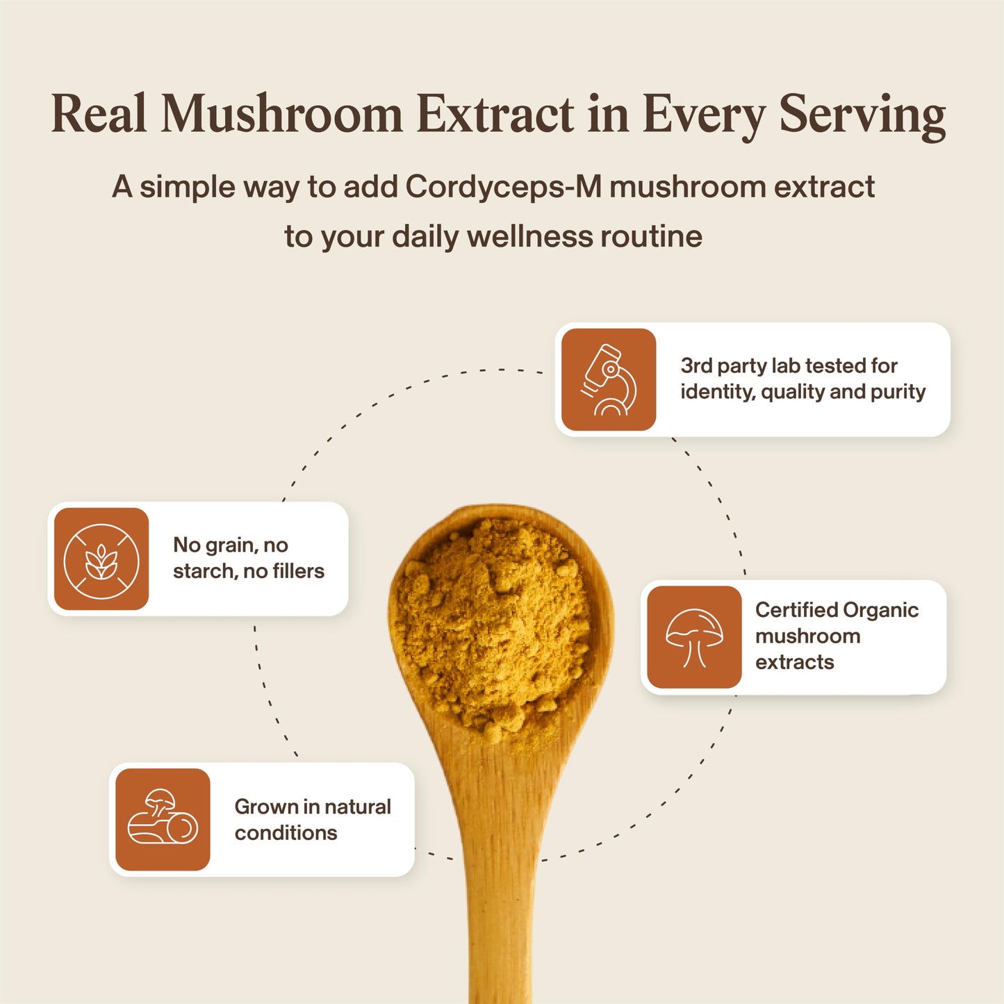 Real Mushrooms Cordyceps Mushroom Powder - Organic Cordyceps Powder Mushroom Energy and Wellness Support - Rich in Beta Glucans - Non-GMO, Vegan Supplement, 60 Servings
