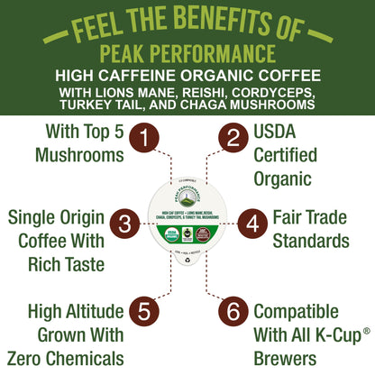 Organic Mushroom Coffee Pods with Lion's Mane, Reishi, Cordyceps, Turkey Tail, and Chaga Mushrooms. High Altitude, Low Acid, Smooth Tasting, Fair Trade, Instant Nootropic Coffee (Medium Roast Ground)