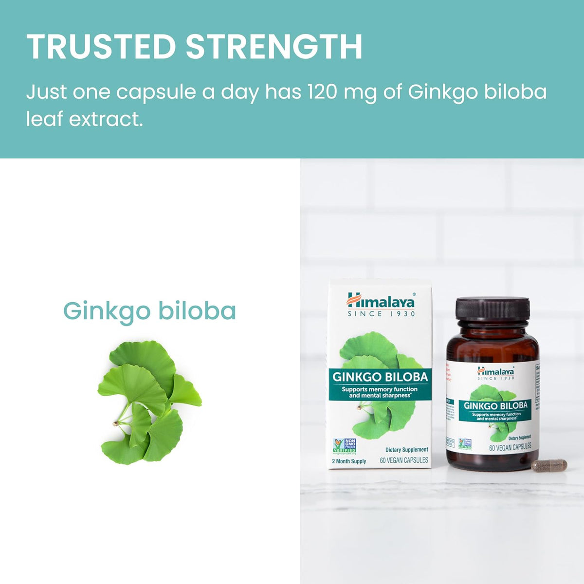 Himalaya Ginkgo Biloba Capsules, 120mg, Ginkgo Biloba Supplements for Brain Memory and Focus Support, Ginkgo Biloba Extract - Vegan, Gluten Free, 60 Capsules