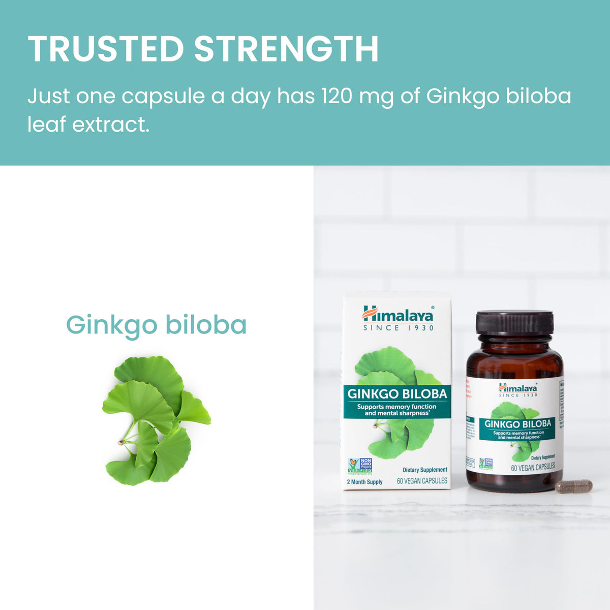 Himalaya Ginkgo Biloba Capsules, 120mg, Ginkgo Biloba Supplements for Brain Memory and Focus Support, Ginkgo Biloba Extract - Vegan, Gluten Free, 60 Capsules