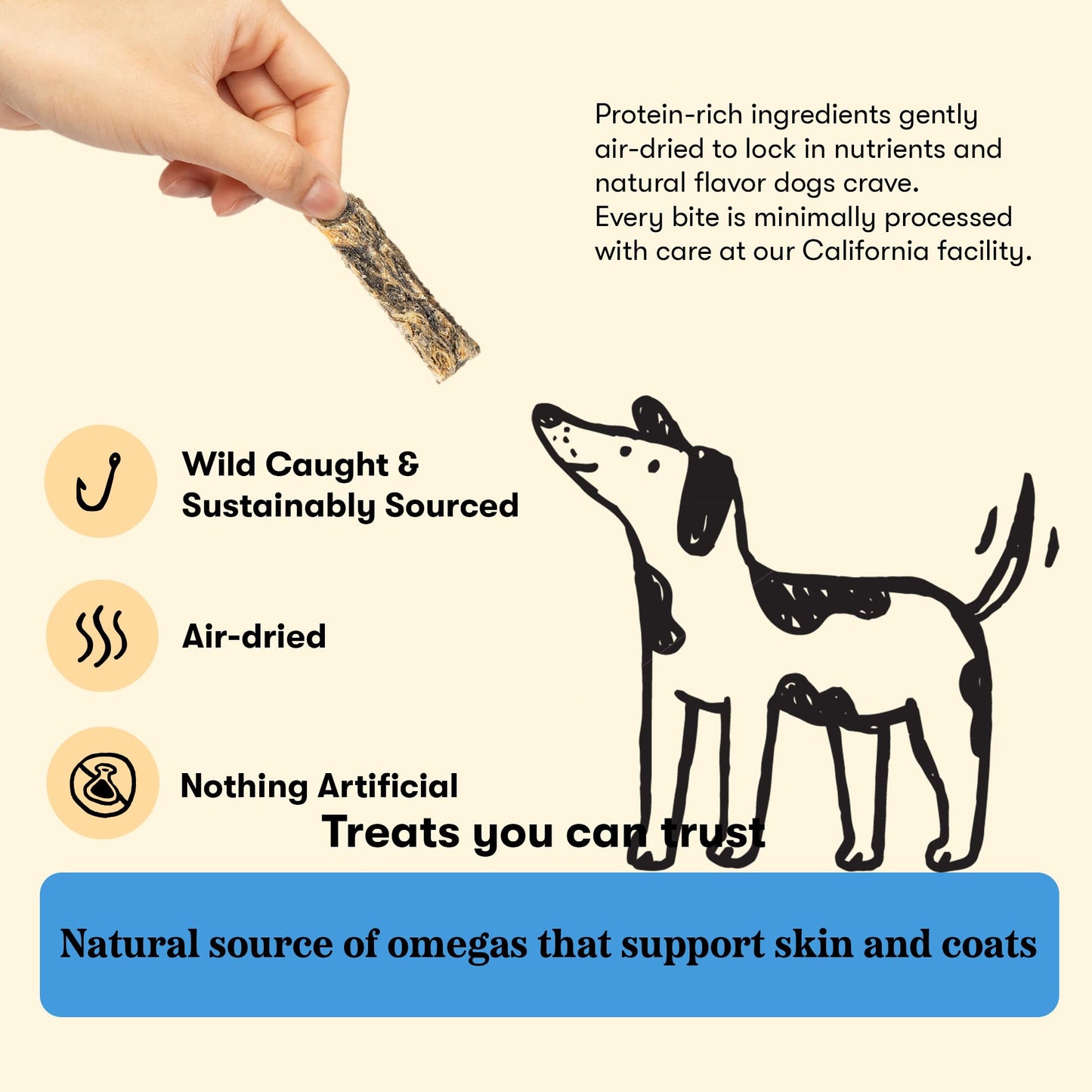 Plato Single Ingredient Wild-Caught Cod Skin Bites Dog Treats, Air-Dried Omega-Rich Skin & Coat Support, 10 oz