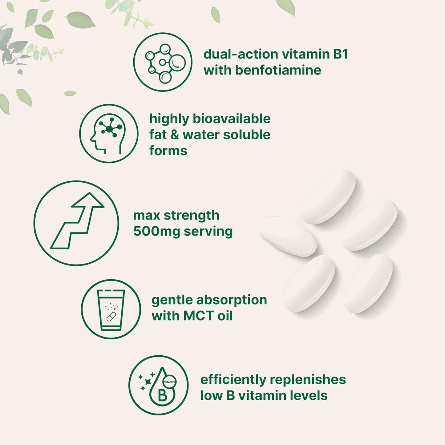Micro Ingredients Vitamin B1 Thiamine 500mg with Benfotiamine & MCT Oil, 240 Softgels | Highly Bioavailable Thiamine Supplement for Energy & Nervous System Support* | Non-GMO, Soy Free