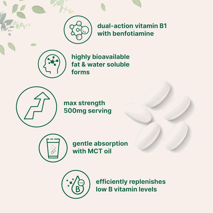 Micro Ingredients Vitamin B1 Thiamine 500mg with Benfotiamine & MCT Oil, 240 Softgels | Highly Bioavailable Thiamine Supplement for Energy & Nervous System Support* | Non-GMO, Soy Free