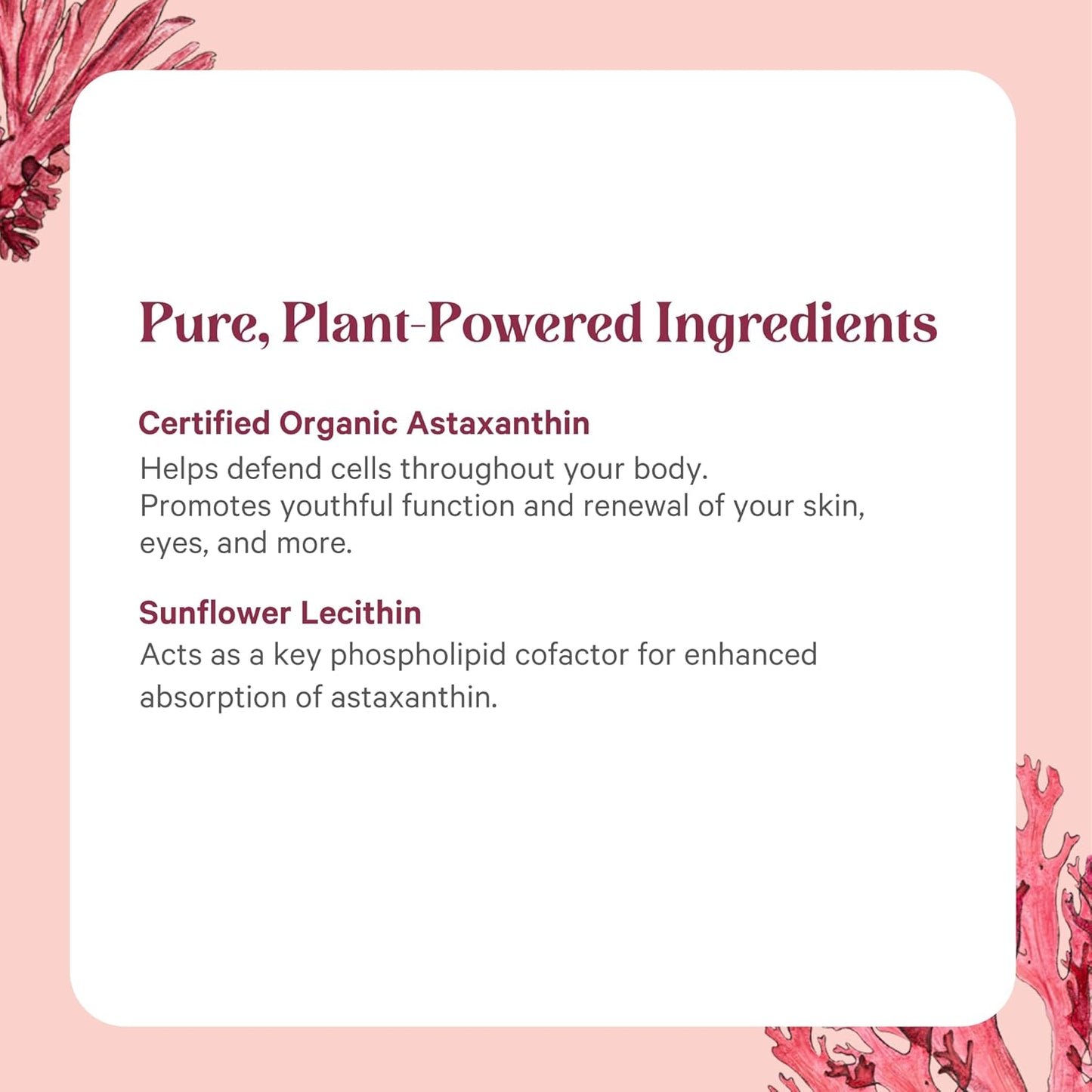 PURE SYNERGY SuperPure Astaxanthin Extract | Organic Astaxanthin from Algae with Sunflower Lecithin | Antioxidant Support for Skin and Eye Health (60 Capsules)