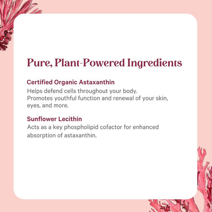 PURE SYNERGY SuperPure Astaxanthin Extract | Organic Astaxanthin from Algae with Sunflower Lecithin | Antioxidant Support for Skin and Eye Health (60 Capsules)