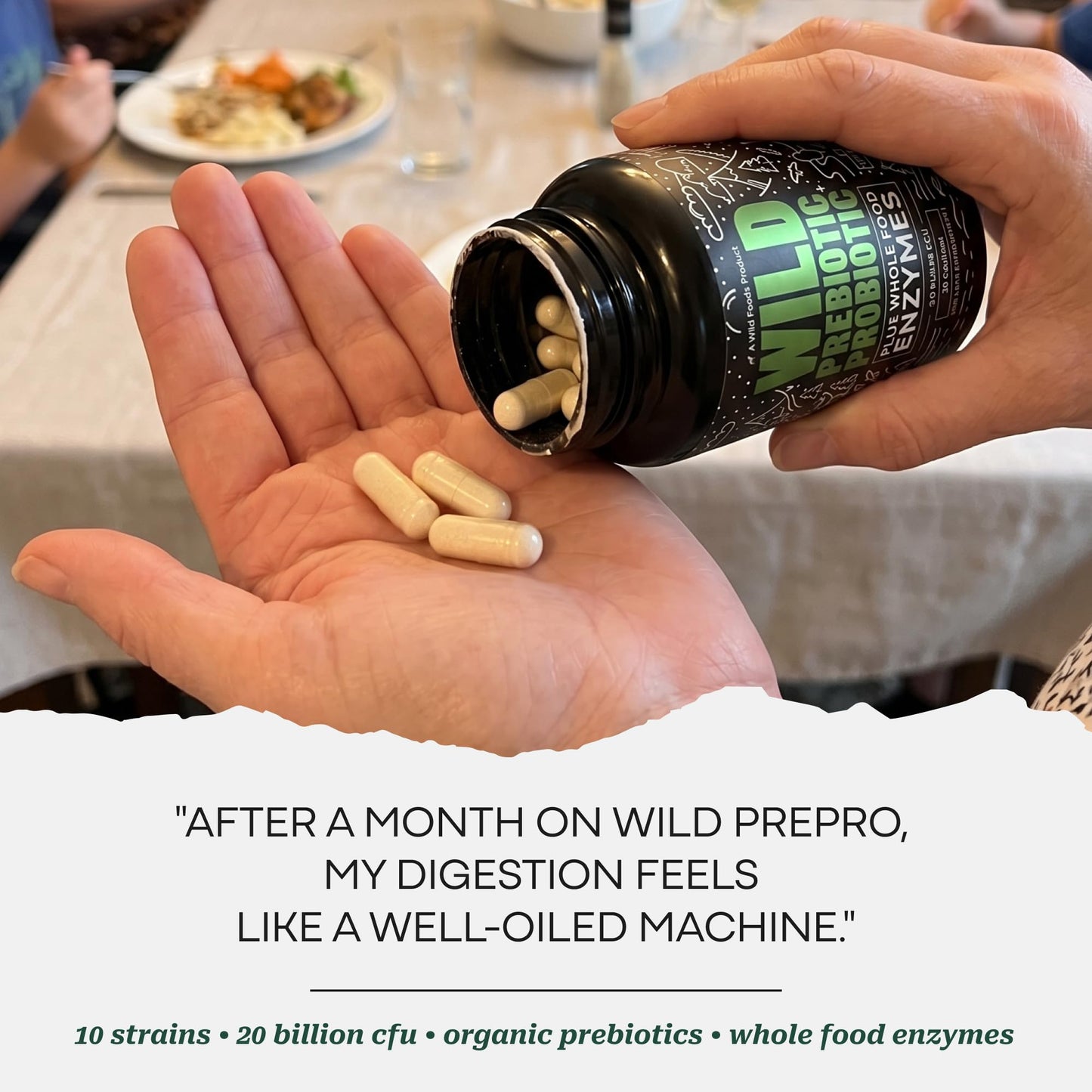 Wild Prebiotics and Probiotics with Digestive Enzymes | 20 Billion CFU - 10 Strains for Women & Men | Support Gut Health & Digestion Supplements | Non-GMO Prebiotic Fiber | 30 Count (Pack of 2)