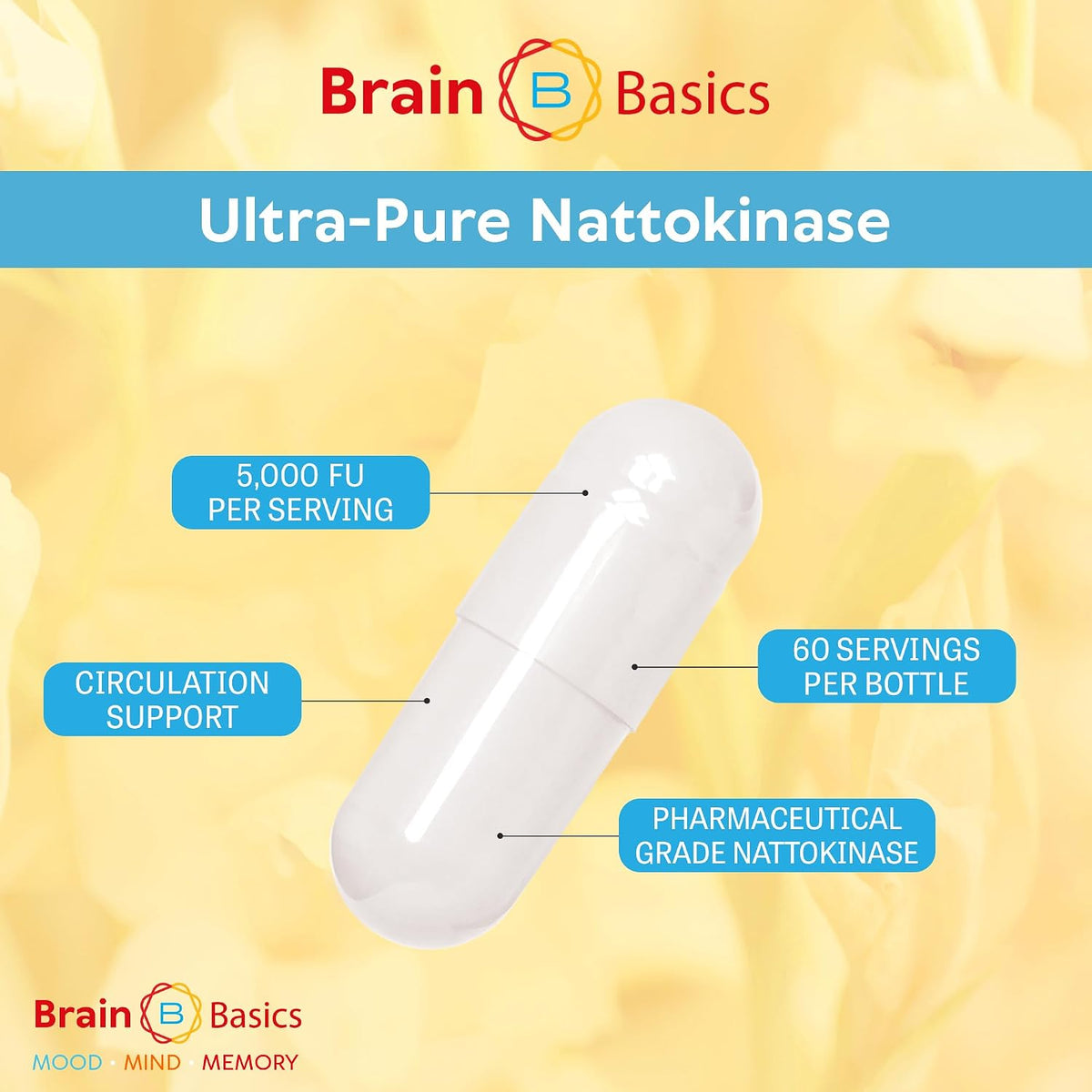 Brain Basic Ultra-Pure Nattokinase 5000 FU – 120 Capsules - Natural Blood Circulation Support with Highest Potency Available – Non-GMO, Vegan, Gluten Free