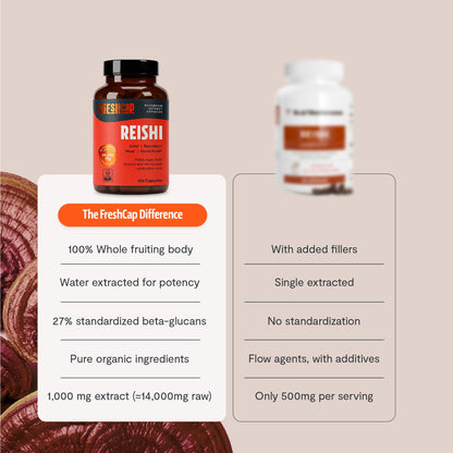 FreshCap Mushrooms Premium Organic Lions Mane Capsules - 14:1 Fruiting Body Extract with 31% Beta-Glucans - 3rd-Party Tested Nootropic for Clarity, Focus & Cognitive Support (120 Capsules)