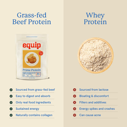 Equip Prime Chocolate Protein Powder - Gut-Friendly, No Sugar Protein Shake Powder with Grass-Fed Beef & Natural Collagen - Rich & Creamy Mix - 21g Per Serving - Whey & Dairy-Free (30 Scoops)
