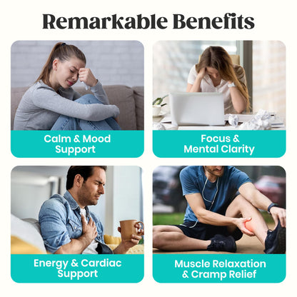 60 Day Supply Magnesium Glycinate 400mg Gummies Sugar Free High Absorption | With Ashwagandha, L-Theanine, CoQ10, Vitamin D3 & B6, Adults & Kids, Stress Relief, Sleep & Calm, Vegan, Gluten Free