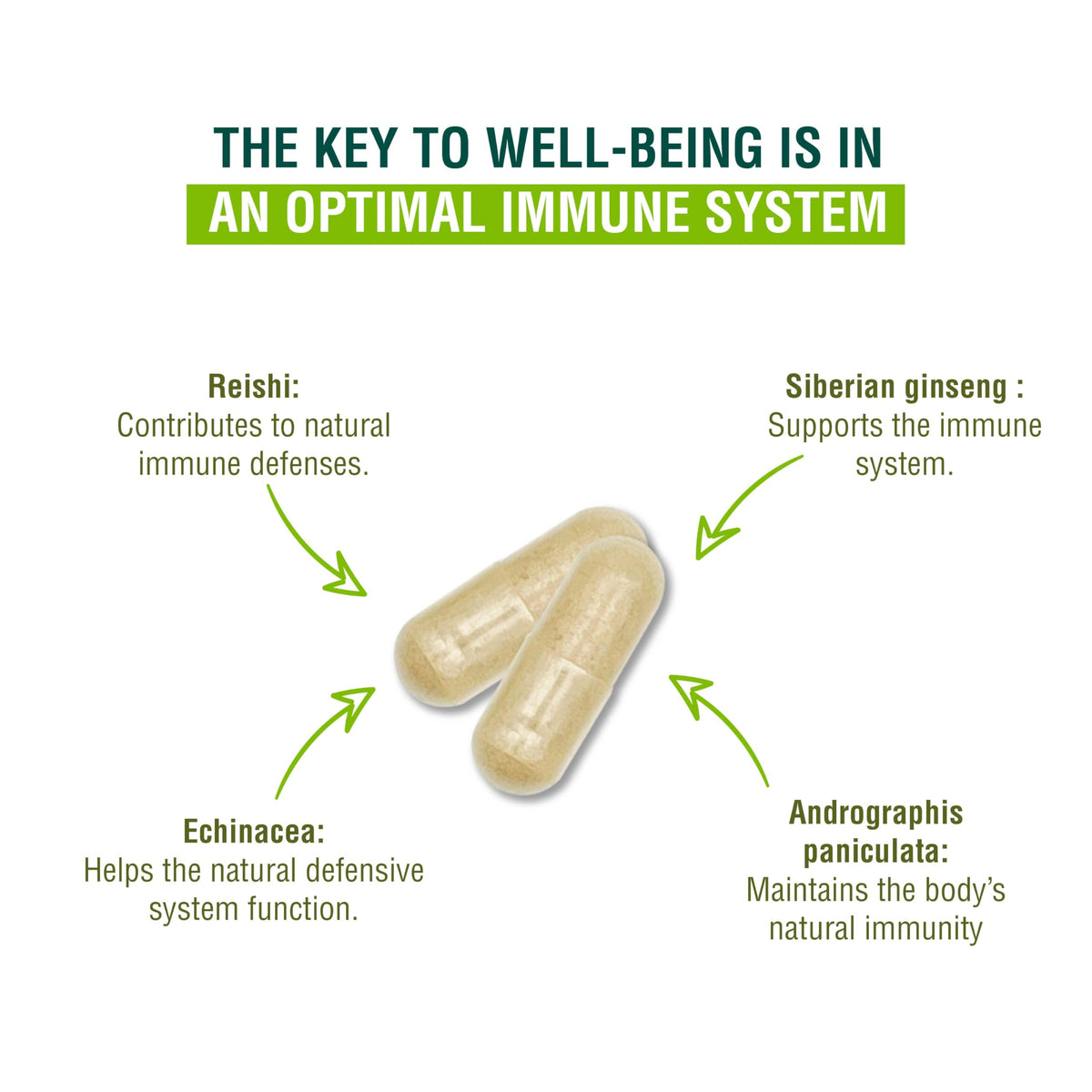 ADAPTOHEAL Immunheal Immune System Support Reishi, Ginseng (180 Caps)