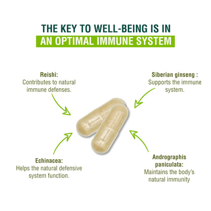 ADAPTOHEAL Immunheal Immune System Support Reishi, Ginseng (180 Caps)