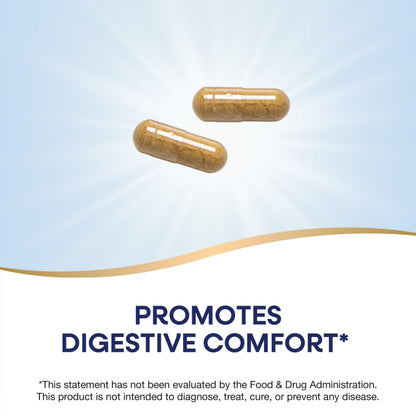 Nature's Way Ginger Root, Promotes Digestive Comfort*, 1,100 mg Per 2-capsule Serving