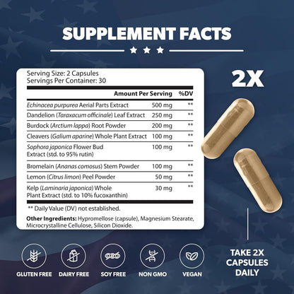 LymphaVive | Lymphatic Drainage Supplements | Lymph System Support, For Men & Women, Bromelain, Echinacea, Burdock Root, Dandelion, Rutin, 30 Days Supply, 60 Capsules