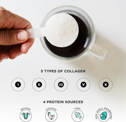 Vital Vitamins Multi Collagen Peptides Powder + NAD+ Supplement