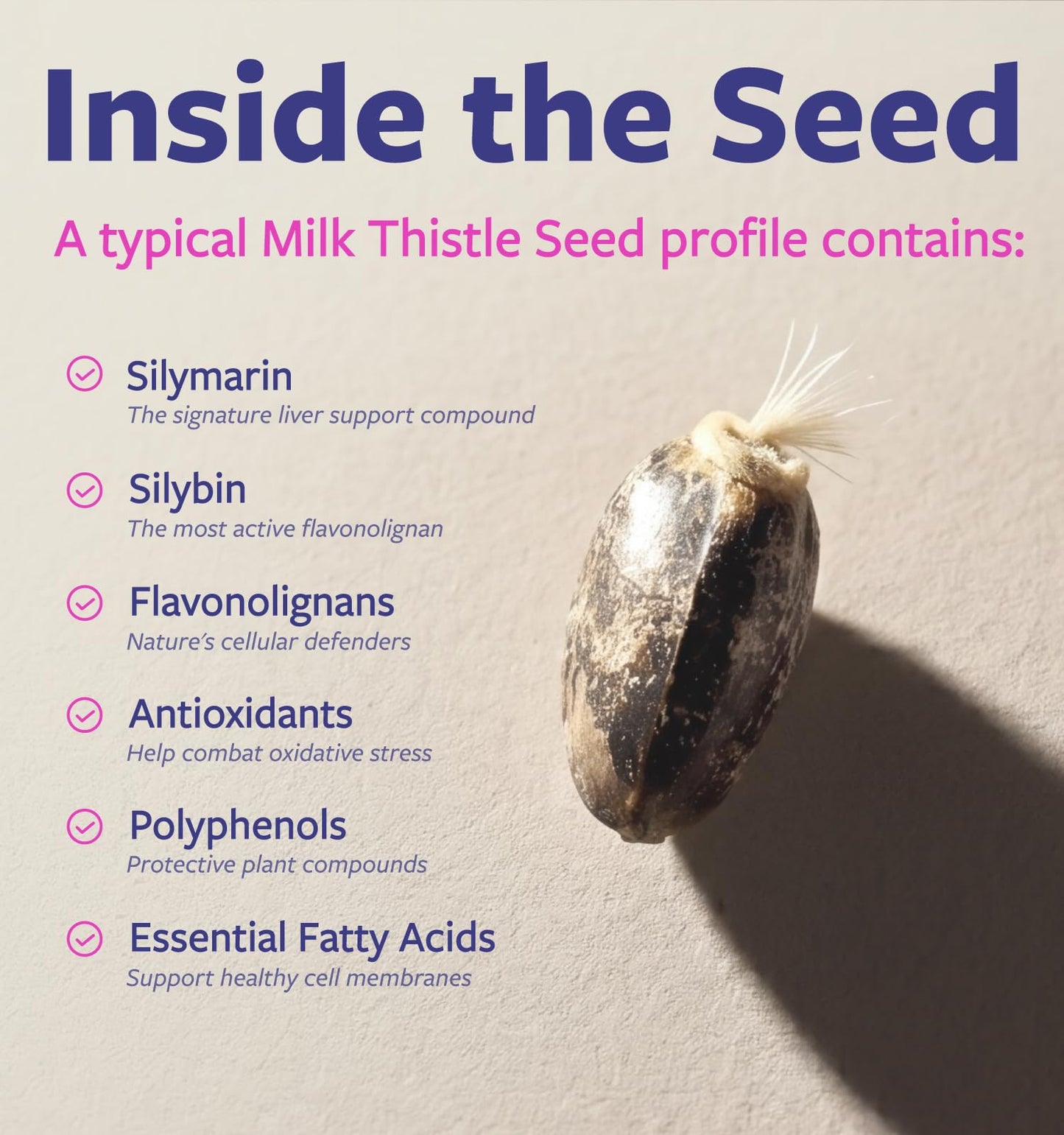 USDA Organic Milk Thistle Capsules - 80% Silymarin Supplement for Liver Support- Super Concentrated 300mg of 30:1 Milk Thistle Extract Equivalent to 9,000mg - Milk Thistle Liver Detox 60 Day Supply