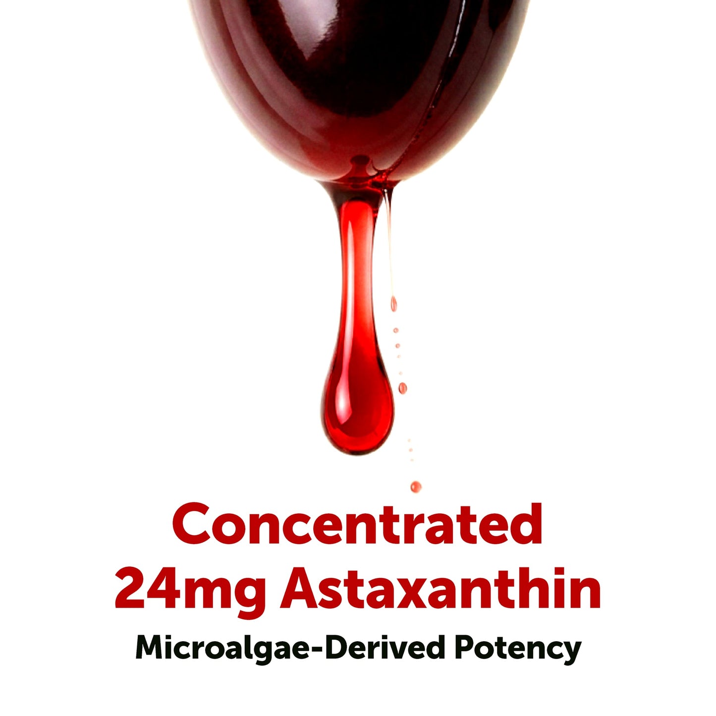 Micro Ingredients Astaxanthin 24mg with MCT Oil, 60 Softgels, 2 Month Supply | Max Strength Astaxanthin Antioxidant Supplements | Fresh Microalgae Source | Non-GMO, Gluten Free, No Soy