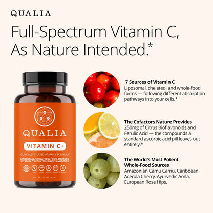 Qualia Vitamin C+ | Clinically Studied, Doctor Formulated | 7 High-Absorption Forms Including Liposomal PureWay-C®, Chelated & Food-Sourced with Citrus Bioflavonoids, Zinc, & Rose Hips | 500 mg