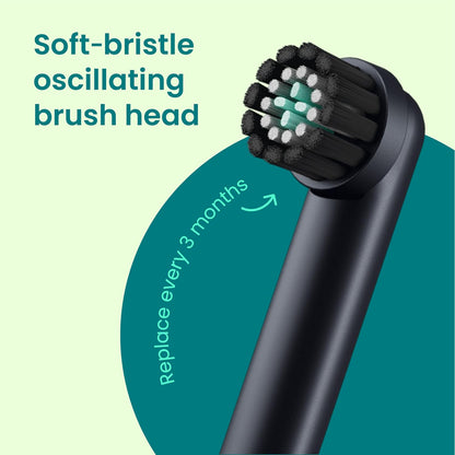 Quip Rev Oscillating Electric Toothbrush, Mirror Mount, Travel, Blue Stone