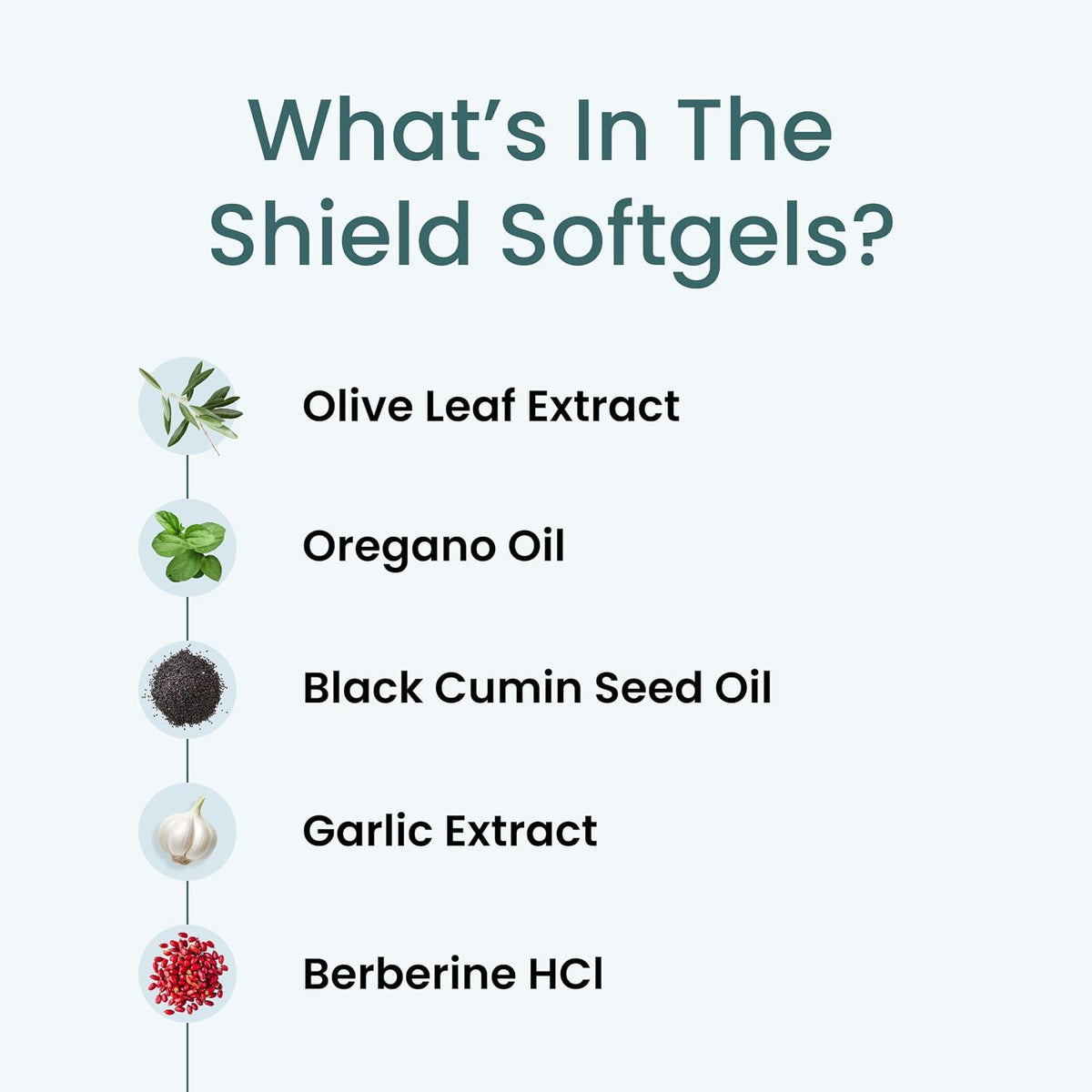 The Wellness Company Shield — Dual-Action Immune Defense System, 90ct