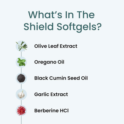 The Wellness Company Shield — Dual-Action Immune Defense System, 90ct