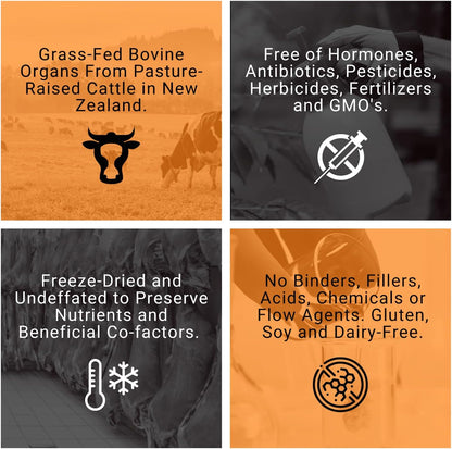 Bovine Organ Powder, Grass Fed Beef Organ Complex with Liver, Heart & Kidney, Primal Multivitamin Whole Food Supplement with Heme Iron, Vitamin A, B12, Folate, Selenium & Zinc, 90g