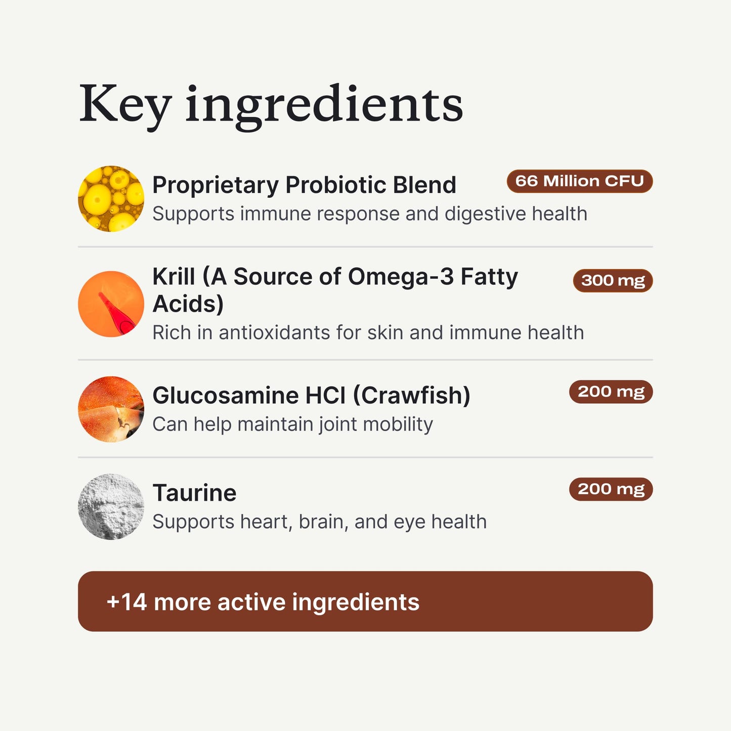 PetLab Co. DF-14 Daily Foundation Supplement for Small Dogs | Gut, Joint, Skin, Immune, Heart and Brain Support, Daily Powder, All Breeds