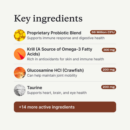 PetLab Co. DF-14 Daily Foundation Supplement for Small Dogs | Gut, Joint, Skin, Immune, Heart and Brain Support, Daily Powder, All Breeds