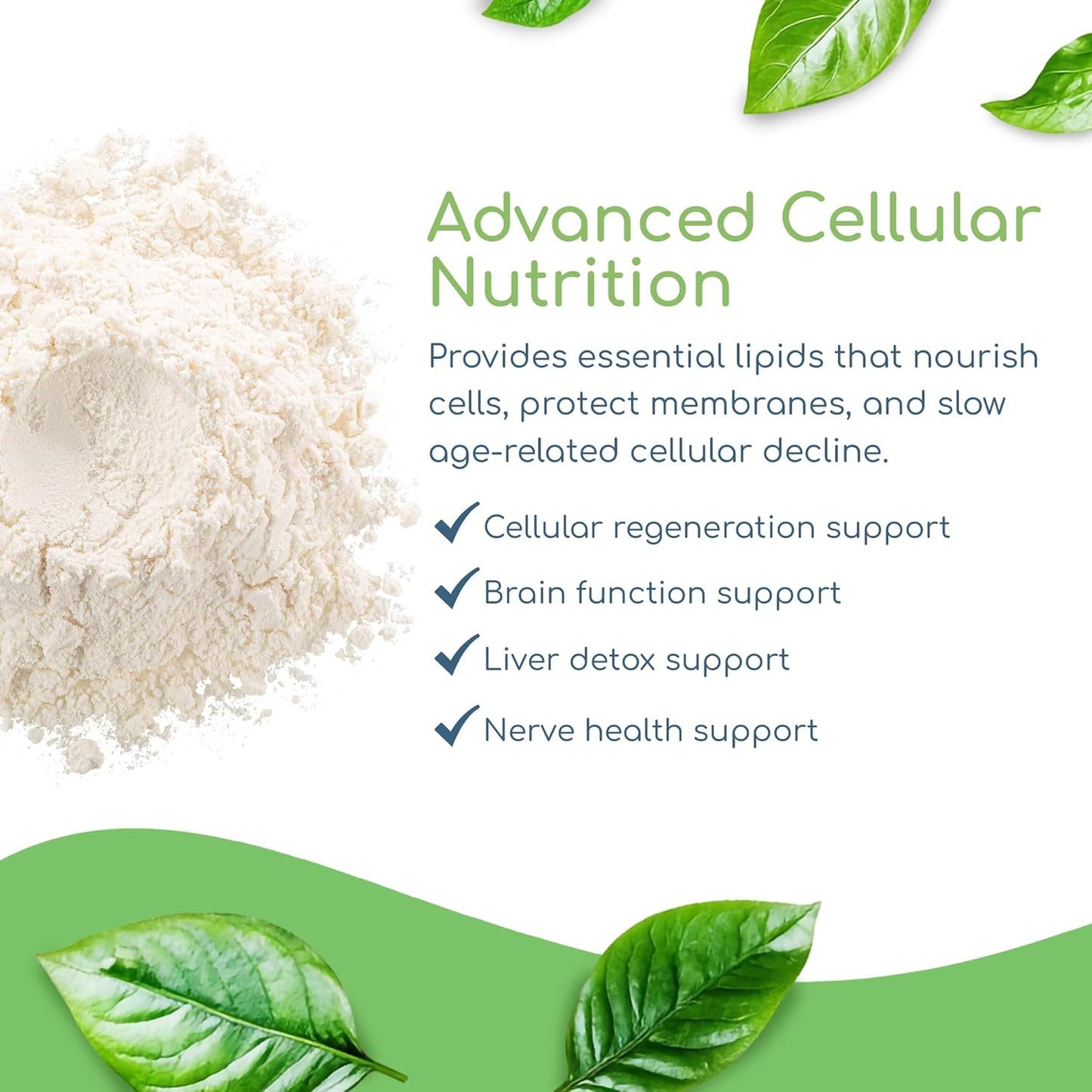 Phospholipid Synergy Powder | Antioxidant Powder for Cellular Repair | Brain Supplements for Memory and Focus | Liver Detox Supplements with an Advance Cleansing Formula | 270 g
