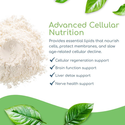 Phospholipid Synergy Powder | Antioxidant Powder for Cellular Repair | Brain Supplements for Memory and Focus | Liver Detox Supplements with an Advance Cleansing Formula | 270 g