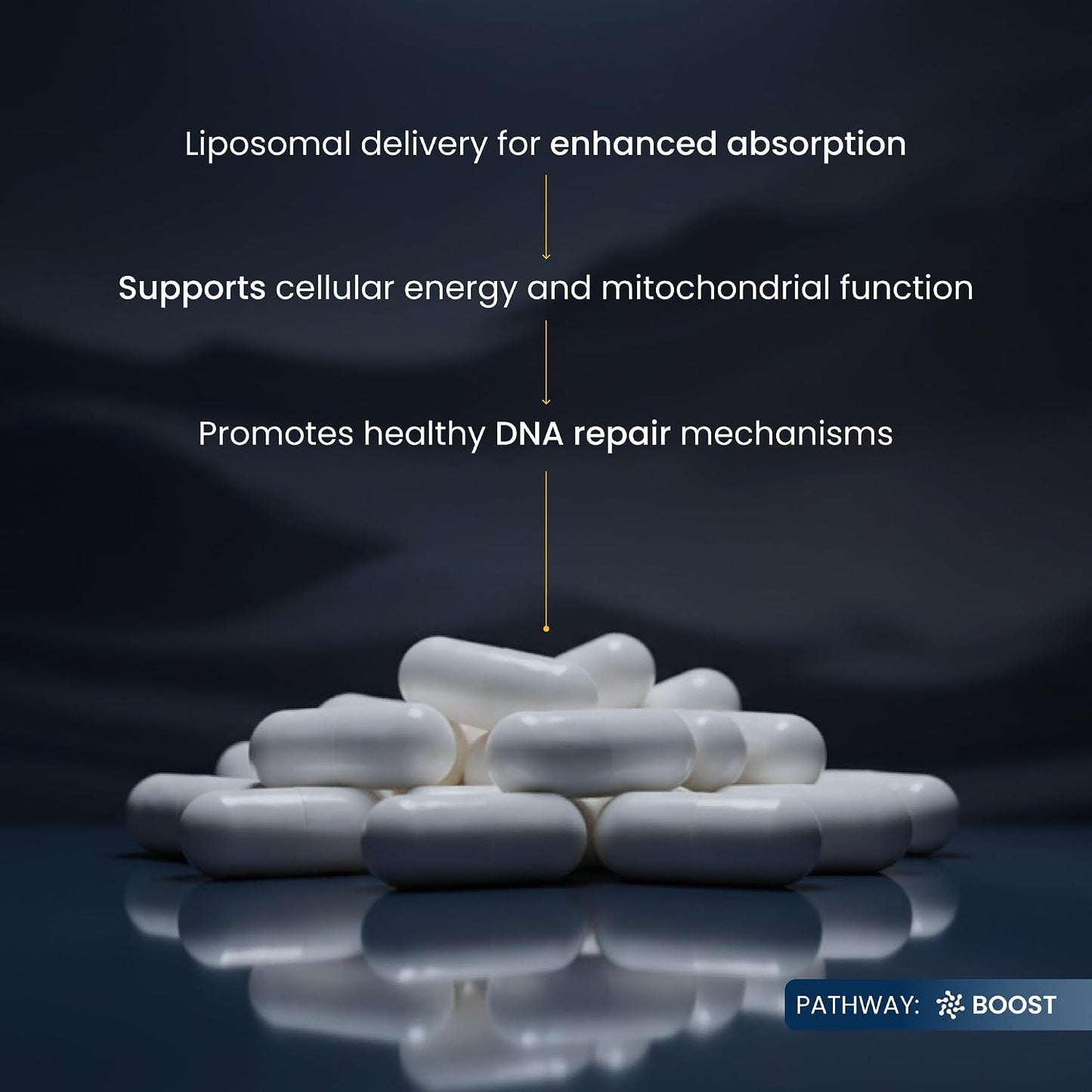 Renue By Science NMN Supplement | 90 Liposomal NMN Capsules - 500mg NMN Nicotinamide Mononucleotide per Serving | Bioavailable Formula for Increased Absorption | Manufactured in the USA