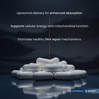 Renue By Science NMN Supplement | 90 Liposomal NMN Capsules - 500mg NMN Nicotinamide Mononucleotide per Serving | Bioavailable Formula for Increased Absorption | Manufactured in the USA