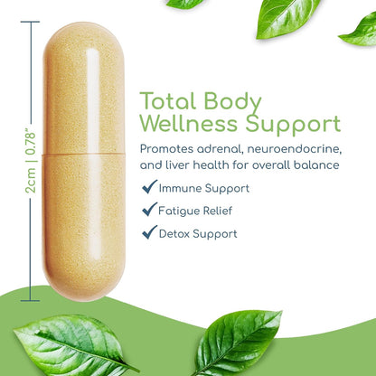 Foundation Formula | Tick Immune Support Supplement | with Japanese Knotweed Root, Cat's Claw, Milk Thistle | Resveratrol Supplement | Non-GMO, All-Natural & Vegetarian, 3 Packs