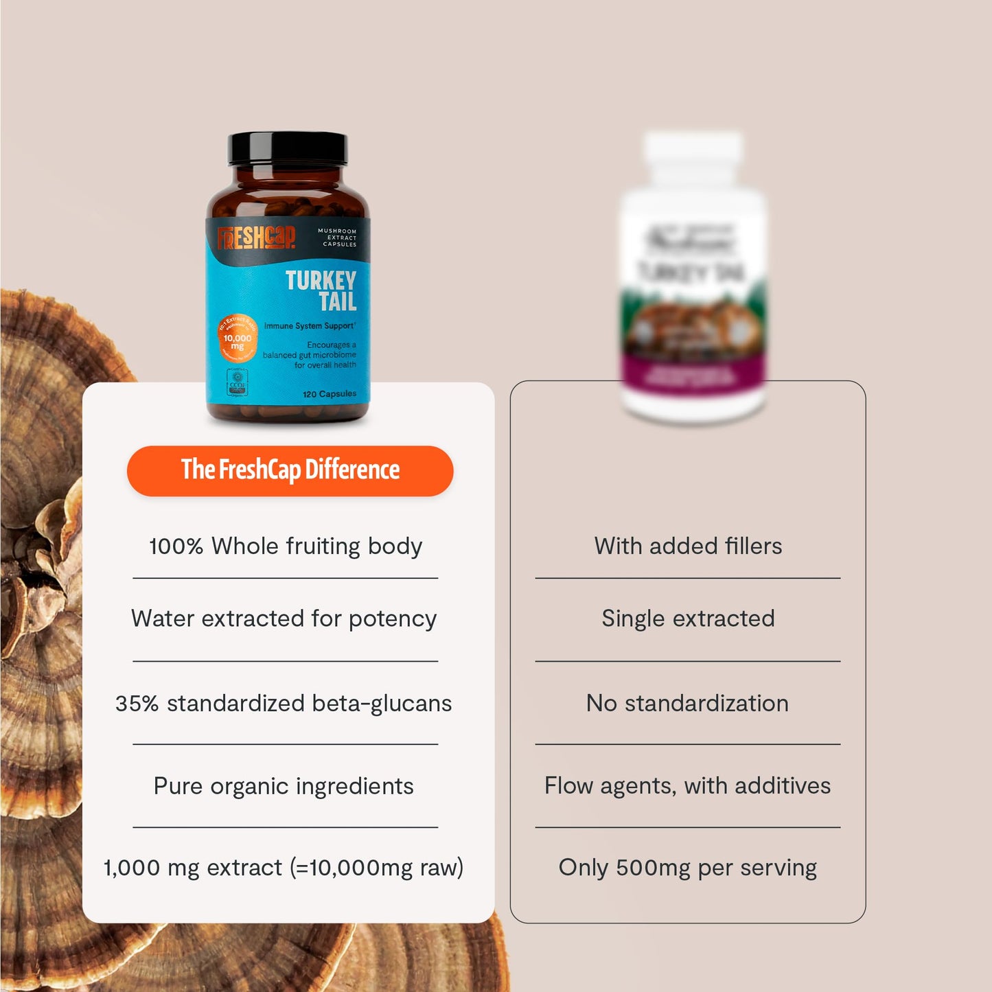 FreshCap Mushrooms Premium Organic Lions Mane Capsules - 14:1 Fruiting Body Extract with 31% Beta-Glucans - 3rd-Party Tested Nootropic for Clarity, Focus & Cognitive Support (120 Capsules)