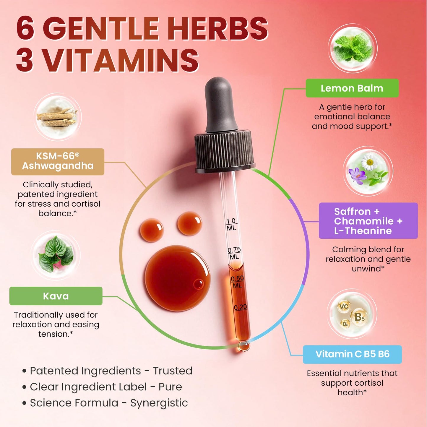 Cortisol Supplements for Women, Mood, Calm, Stress Balance, Hormone Harmony | 9 IN 1 Cortisol Reducer Liquid Drops with KSM-66® Ashwagandha, Kava, Lemon Balm, GMP Certified, 2 FL.OZ, Blueberry Flavor