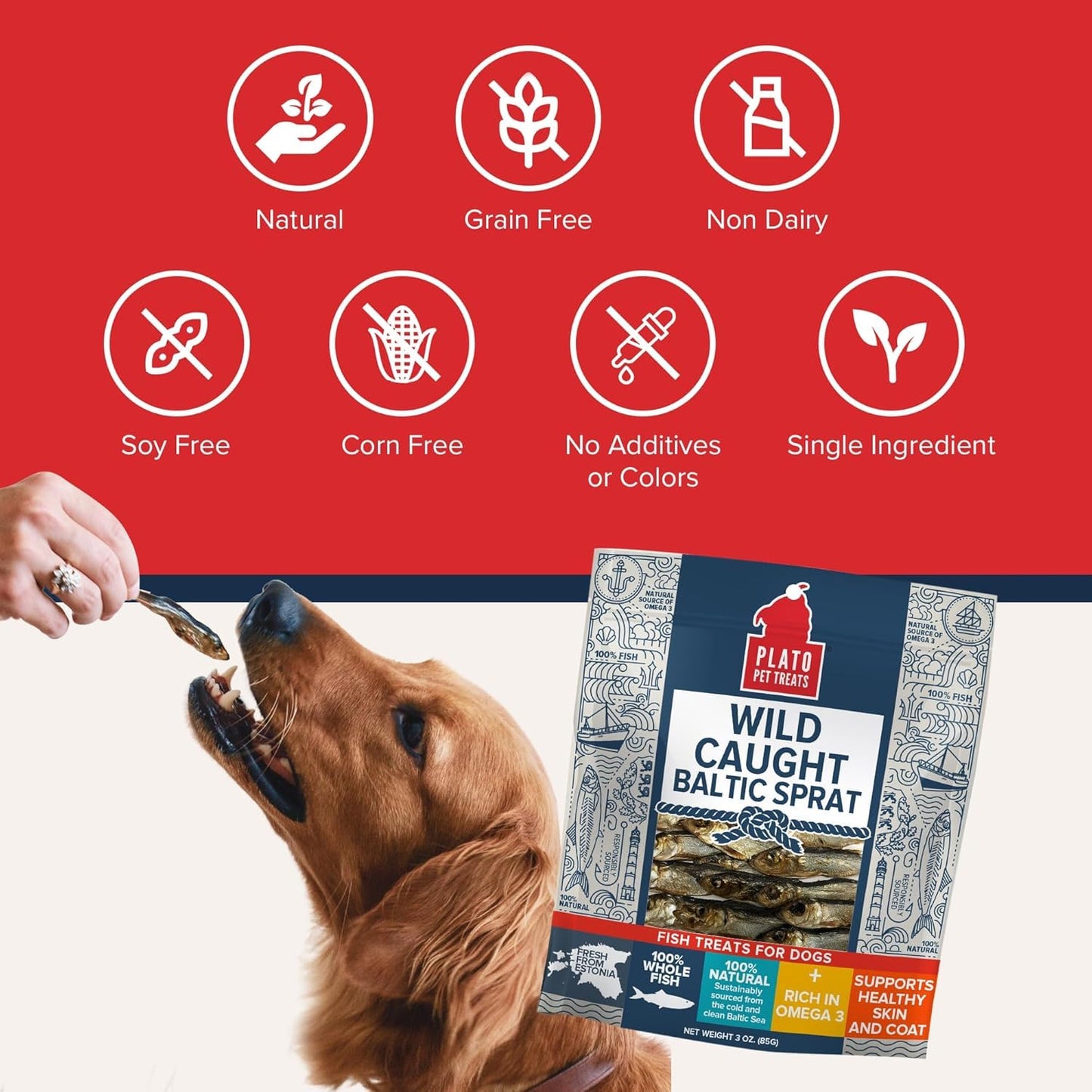 Plato Pet Treats Fish Dog Treats - Air-Dried, Single Ingredient Pet Treat - Omega 3 & 6 Fatty Acids to Support Skin and Coat - 100% Whole Fish - Wild Caught Baltic Sprat - 3 oz - 2 Pack