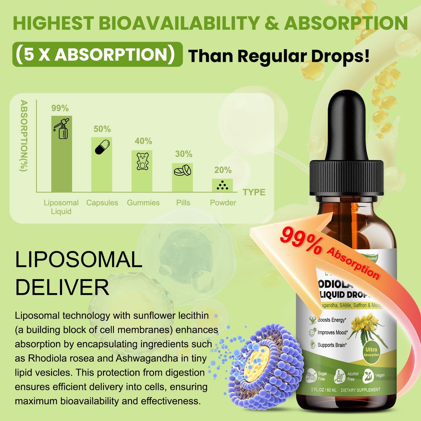Totaria 16-in-1 Liposomal Rhodiola Rosea Supplement Tincture 1000mg, Ultra Strength Rhodiola 10:1 Root Extract w/Ashwagandha, Rhodiola Liquid Drops for Natural Relaxation, Mood, Energy, Alcohol-Free